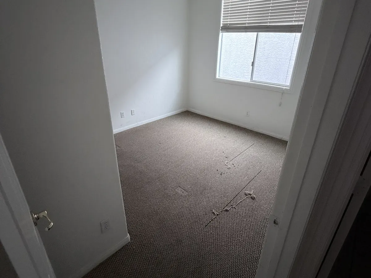 Before: bedroom with window and carpet